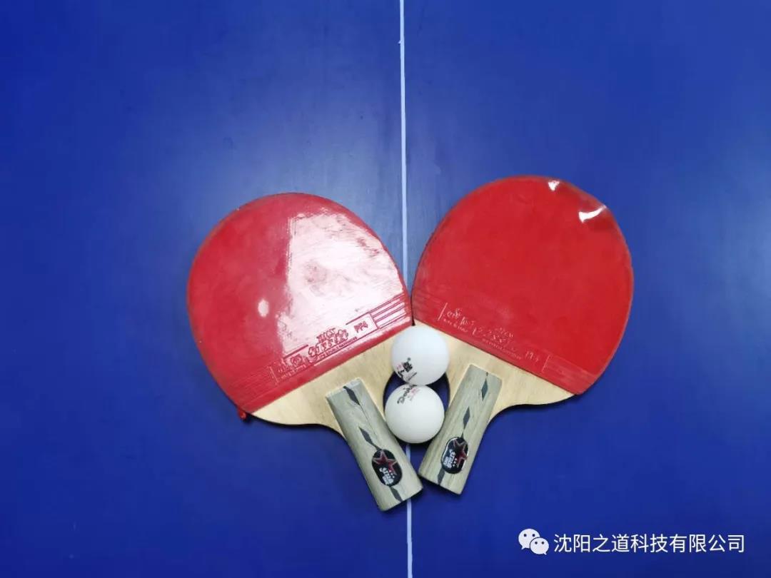 沈阳网站优化